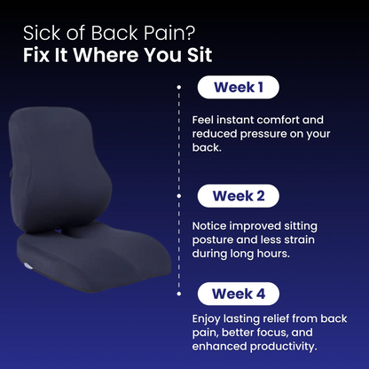 SeatStone - Say Goodbye to Years of Back Pain!